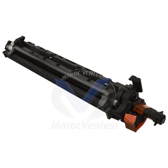 Unité de développement Noire d