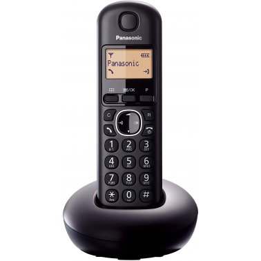 TÉLÉPHONE SANS FIL PANASONIC KX-TGB210 KX-TGB210