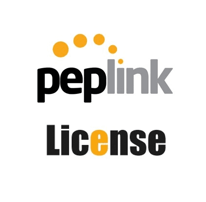 Licence d'activation WAN virtuelle Peplink LIC-VWAN pour B20X BPL-021X-LC-VWAN