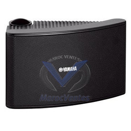 HAUT-PARLEUR NS-AW392