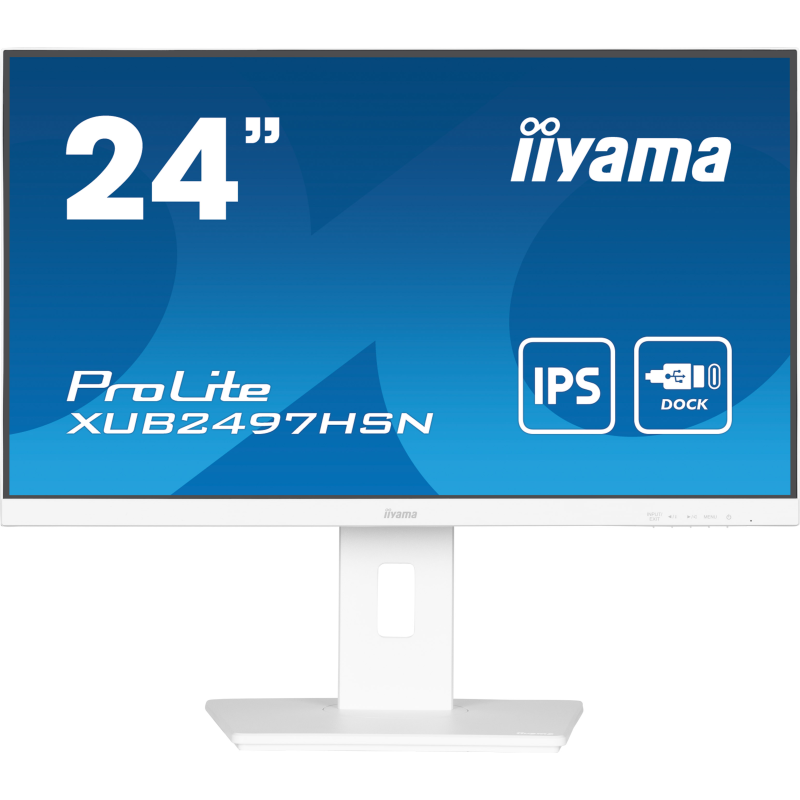 Moniteur 24 pouces IPS avec USB-C dock et RJ45 ( LAN ) XUB2497HSN-W1