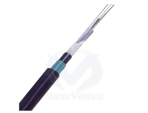 CABLE FO 06 FO SM OS2 9/125 ARMED LINXCOM CABLE FO
