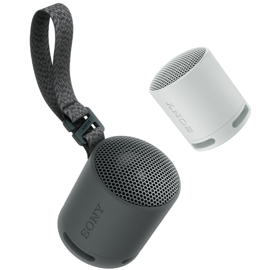 ENCEINTE PORTABLE Boîtier Compact Son Puissant et Clair SRS-XB100