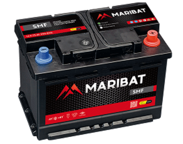 Batterie Spécialement Dédiée aux Voitures de Tourisme SMF